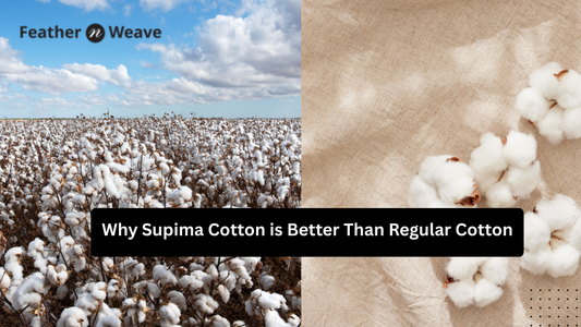 Why Supima Cotton is Better Than Regular Cotton