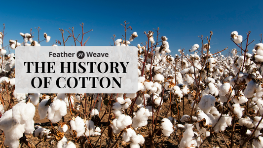 The History of Cotton: From Ancient Fields to Modern Fashion